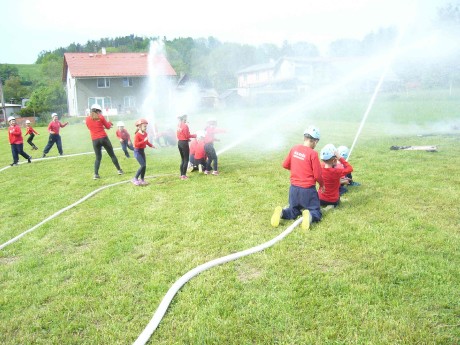 2019-Okrsek Vel. Heřmanice (171)